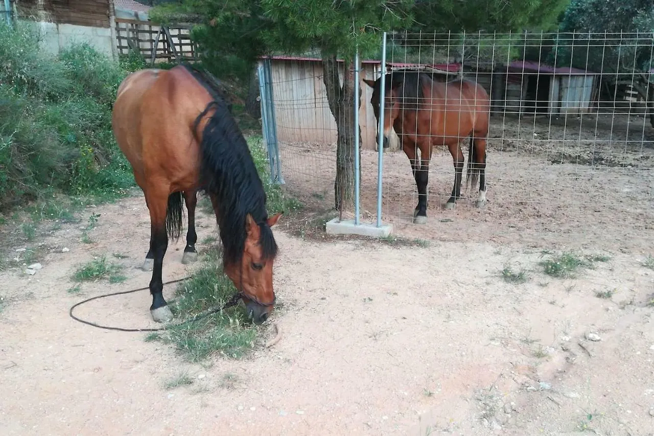Casa rural Can Miqueló: casa familiar rústica Prat de Comte